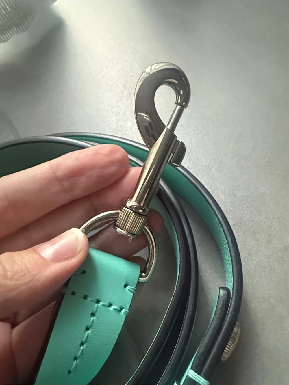 Tiffany Leather Dog Leash and Collar Set. XS colar size.